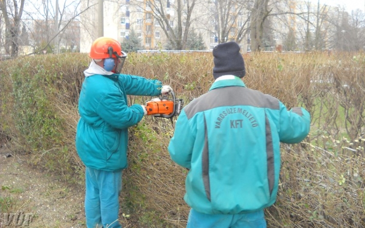 Parkfenntartás májusban