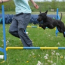 Agility Attilával (Fotó: Nagy Mária)