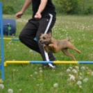 Agility Attilával (Fotó: Nagy Mária)