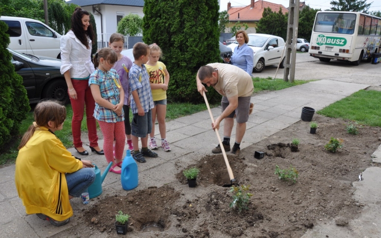 Madarak és Fák Napja Hegyeshalomban