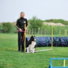 Agility - Hobby Kutyások részére (Fotó: Nagy Mária)