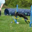 Agility Attilával (Fotó: Nagy Mária)