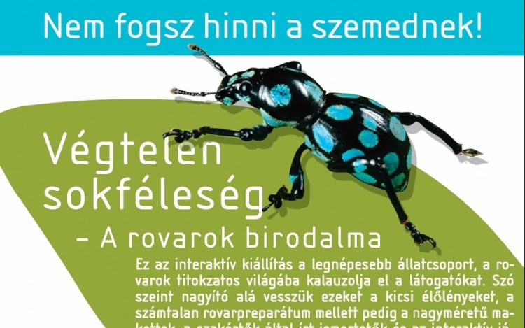 Végtelen sokféleség - A rovarok birodalma