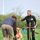 Agility - Hobby Kutyások részére (Fotó: Nagy Mária)