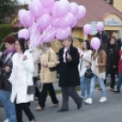 Egészség Hídja Összefogás - Lajtahidi séta