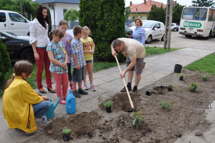 Madarak és Fák Napja Hegyeshalomban