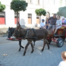 Felvonulás a Trianoni kereszthez (Fotó: Nagy Mária)