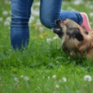 Agility Attilával (Fotó: Nagy Mária)