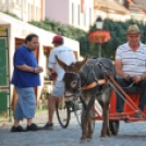 KULT - UTCA Hobbi nap (Fotó: Nagy Mária)