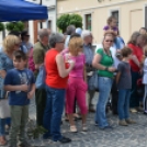  Pannonia-Carnuntum Old-Timer Rallye (Fotó: Nagy Mária)