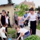 Évzáró műsor és Ballagás a Pillangó óvodában (Fotó: Stipkovits Veronika)