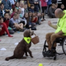 XII. Elfogadás napja Mosonmagyaróvár