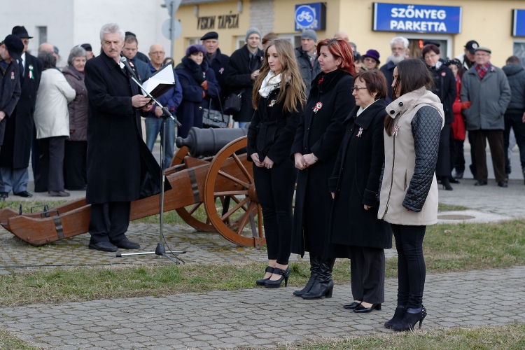 2015. MÁRCIUS 15. Mosonmagyaróvár  (Fotó: Horváth Attila)