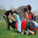 Agility - Hobby Kutyások részére (Fotó: Nagy Mária)