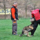 Nyílt nap a Kutya Iskolában (Fotó: Nagy Mária)