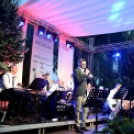 Moson Big Band koncert (Fotó: Bánhegyi István)