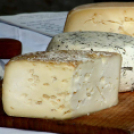 II. Szigetközi Gyógynövénynapok (Fotó: Stipkovits Veronika)