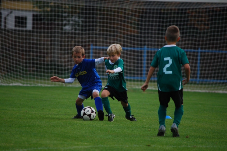 U8 Régiós Kölyökliga  (Fotó: Nagy Mária)