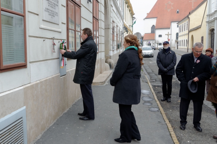 2015. MÁRCIUS 15. Mosonmagyaróvár  (Fotó: Horváth Attila)