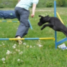 Agility Attilával (Fotó: Nagy Mária)