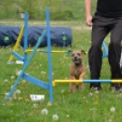 Agility Attilával (Fotó: Nagy Mária)