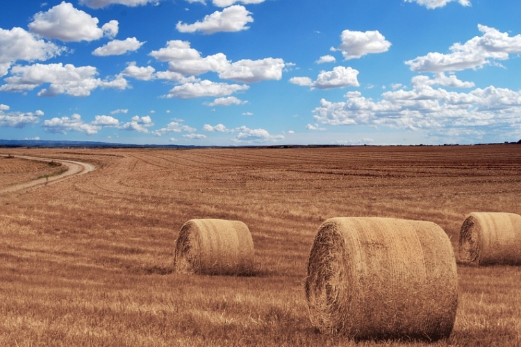 Több előterjesztéssel is könnyítette az Agrárminisztérium a gazdák munkáját