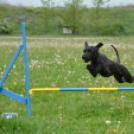 Agility Attilával (Fotó: Nagy Mária)