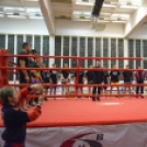 K1-MMA Gála (Fotó: Nagy Mária)