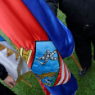 '56-os megemlékezés Jánossomorján (Fotó: Horváth Attila)