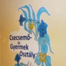 Csecsemő és Gyermekosztály átadása (Fotó: Nagy Mária)