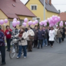 Egészség Hídja Összefogás - Lajtahidi séta