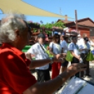 Entente Florale Day Mosonmagyaróvár - Virágzó Város Mosonmagyaróvár (Fotó: Bánhegyi István)