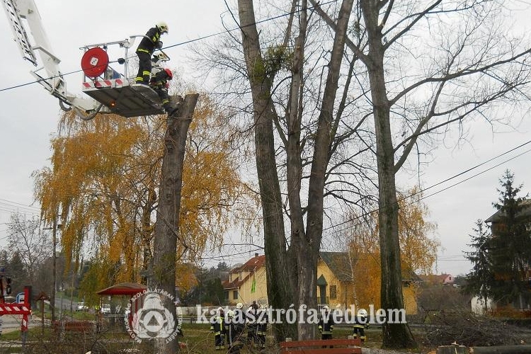 Nem okozott gondot a havazás 