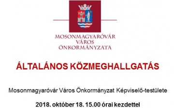 Közmeghallgatás