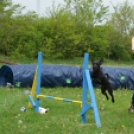 Agility Attilával (Fotó: Nagy Mária)