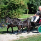 Szigetköz ízei, Vármegye borai fesztivál 2011.09.10.  (Fotózta: Nagy Mária)