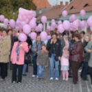 Egészség Hídja Összefogás - Lajta Hidi Séta