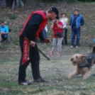 Szigetköz Ízei, Vármegye Borai Fesztivál délután  (Fotó: Nagy Mária)