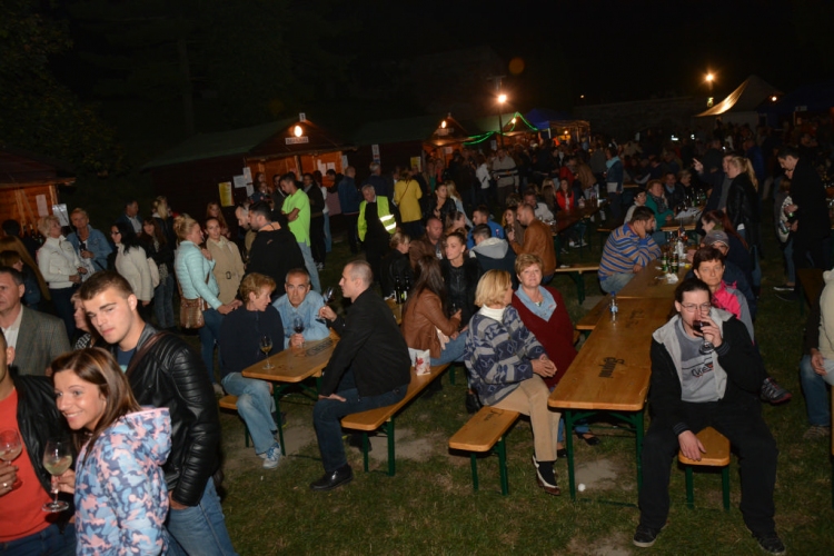 Szigetköz ízei, vármegye borai fesztivál - péntek (Fotó: Nagy Mária)